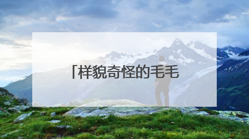 样貌奇怪的毛毛虫现身厦门公园步道，它们是啥？专业人士提醒→